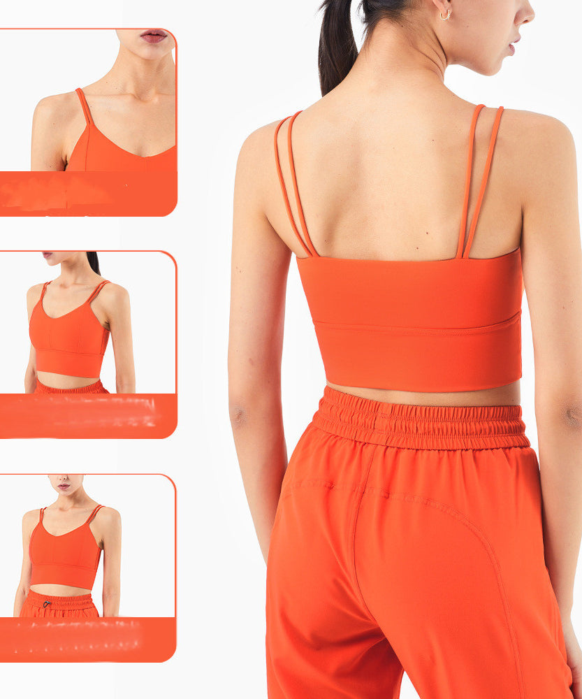 Seamless Active Crop Top – Sleek Support in Bold Colours